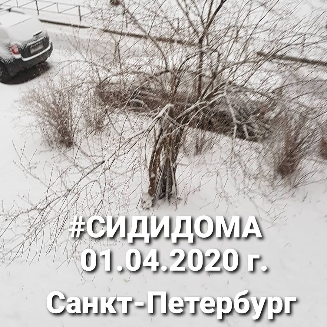 svetakostenko в LOOKY — #сидидома#а я на работу