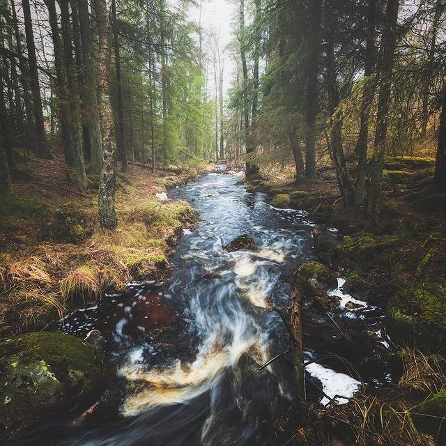 lesvnas_ в LOOKY. #лес,#лесвнас,#лесноевдохновение,#влесукакдома,#леснойручей,#красотамира,#природароссии. Сейчас бы там оказат...