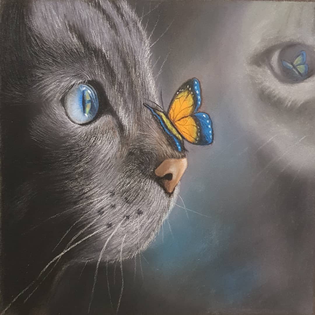 oshkinapastel в LOOKY — Мой котик по уроку с @_nazzzka_ в #мастерская_пастелистов 
К