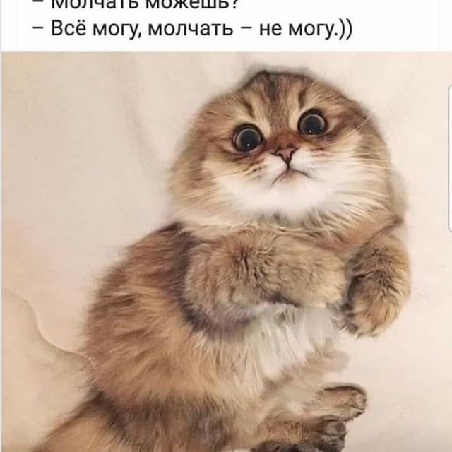 va1ieva_di в LOOKY. #всёмогу#нонемолчать😁. #всёмогу#нонемолчать...