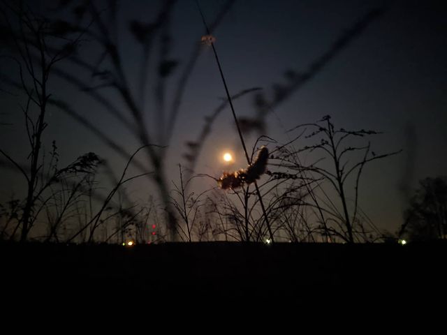 oleg_lll_ in LOOKY. #landscape,#night,#moon,#spring,#photo,#photography,#artist,#art. Ну почему бы немного...