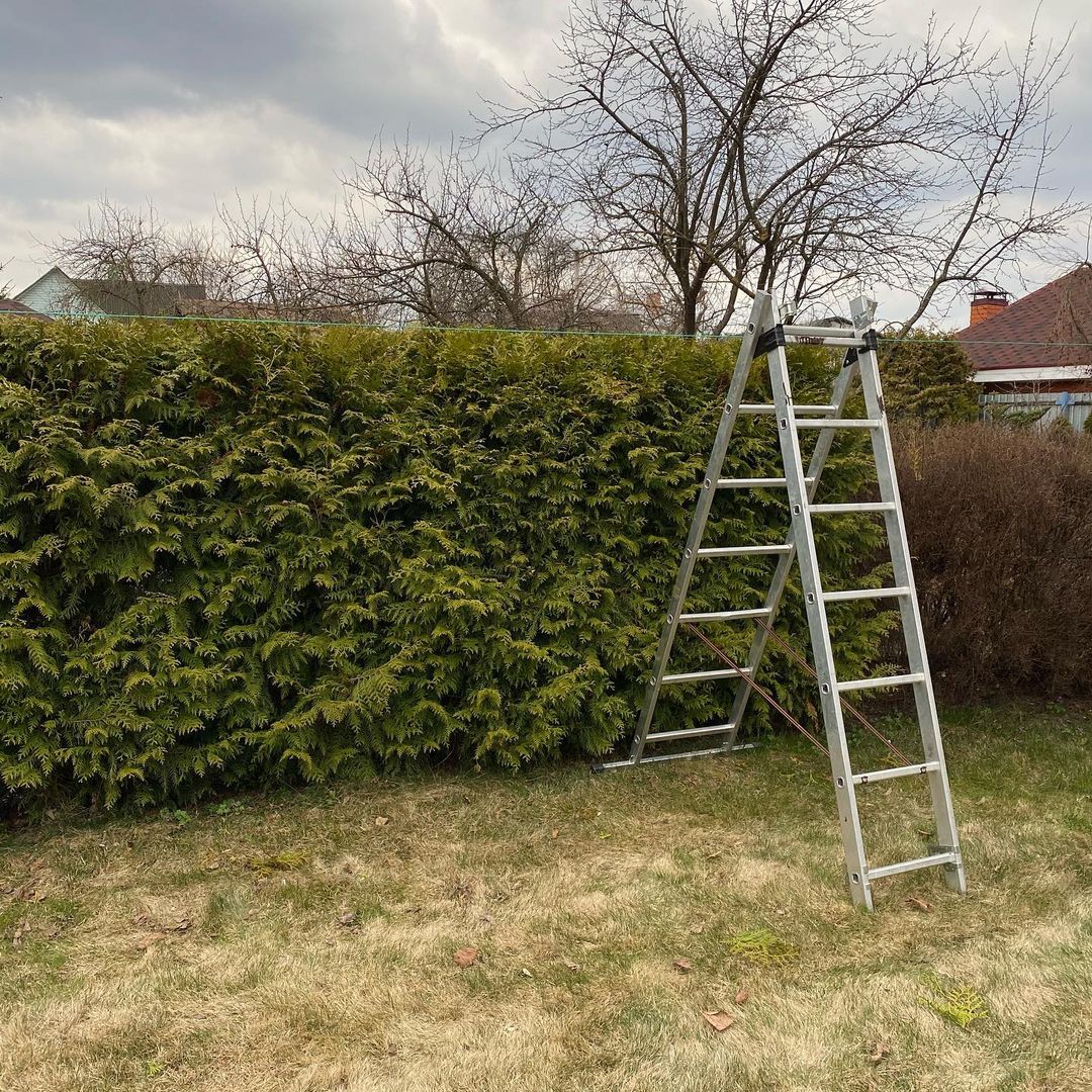 nataliapetrova972 в LOOKY — фото 2