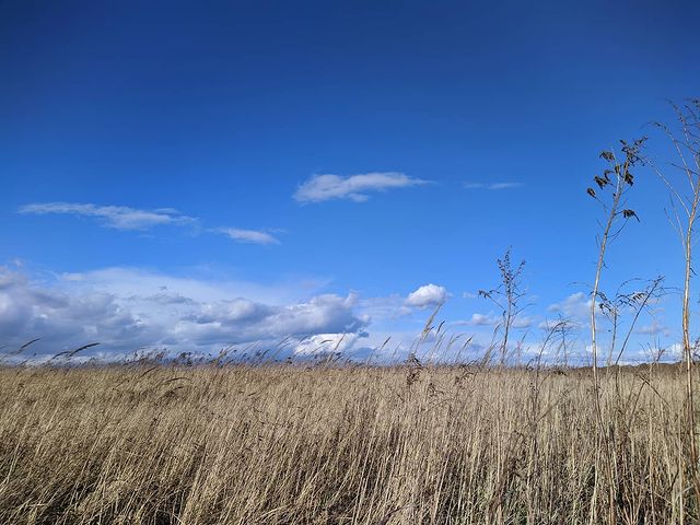 oleg_lll_ in LOOKY. #landscapephotography,#landscape,#photo,#photography,#art,#artist. Солнечный день... #l...