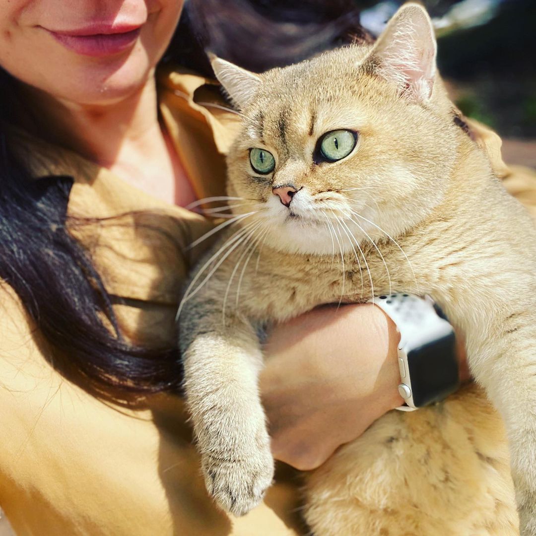 nadezhda.mos в LOOKY — Моя рыжая любофффь🧡 #кот Тимофей
