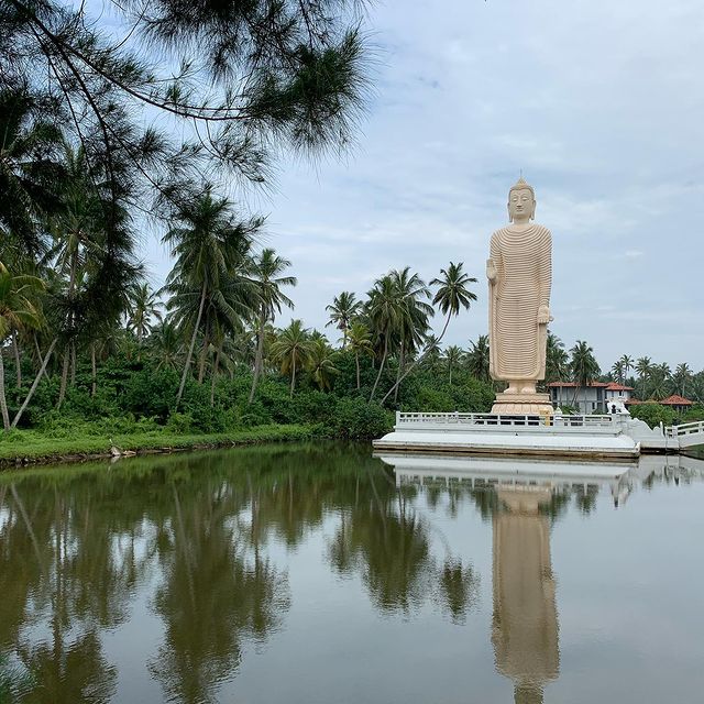 Maksim в LOOKY. #srilanka. #srilanka перед всем...