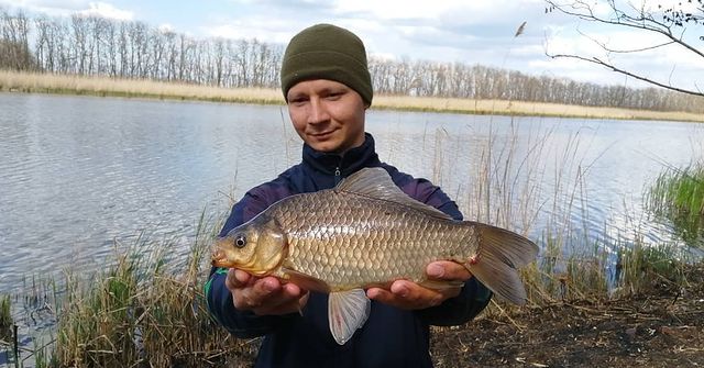 yug_fishing в LOOKY. #карась,#фидер,#рыбалка,#миненко,#rigpro. Ловля карася на фиде...