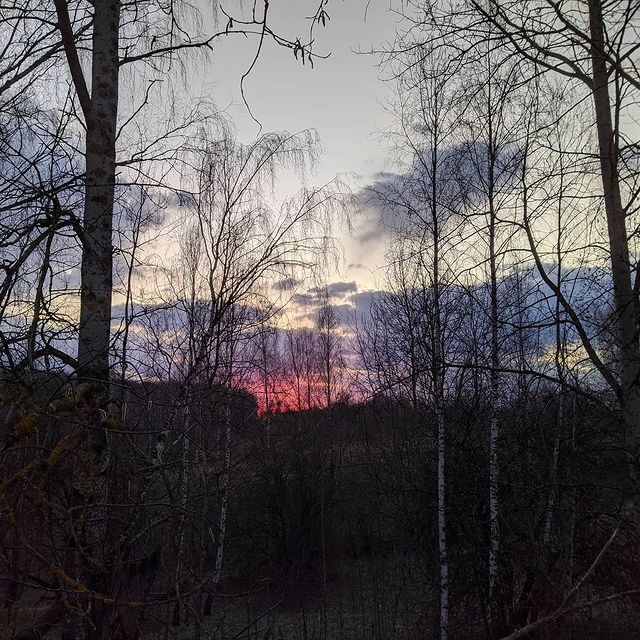 oleg_lll_ in LOOKY. #wood,#photo,#photography,#landscapephotography,#landscape,#tree. Цвет...#sky #wood #p...