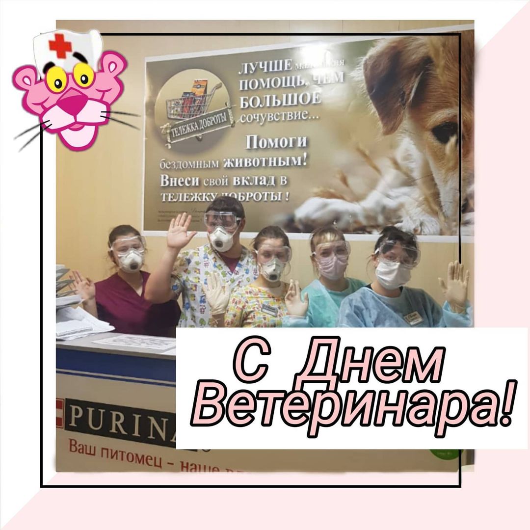 panteravet в LOOKY — Уважаемые коллеги! От всей души поздравляем Вас с международ
