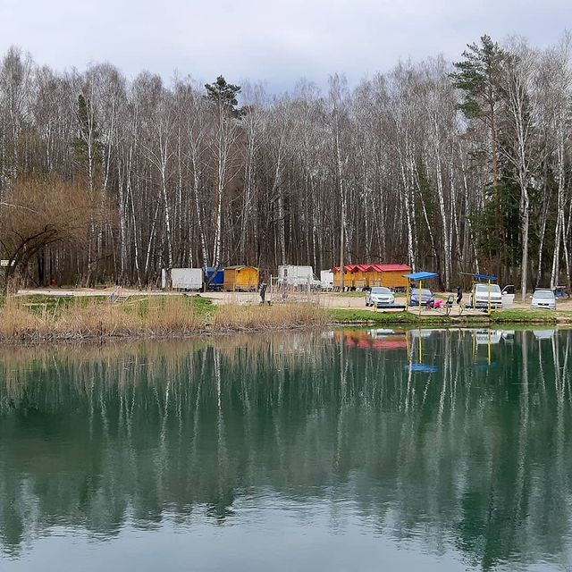 dobrowolskj в LOOKY. . null