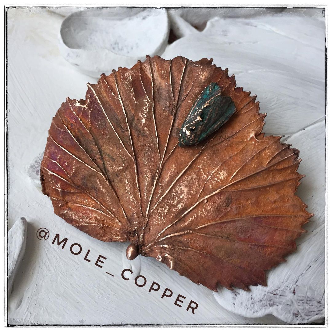 mole_copper в LOOKY — фото 2