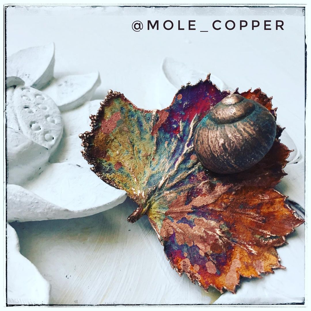 mole_copper в LOOKY — фото 2