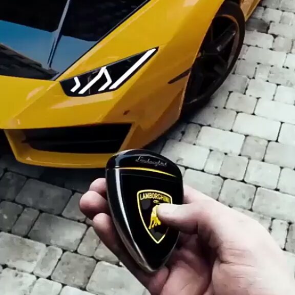 artikov_oo7 в LOOKY. . Chameleon LAMBORGHIN...