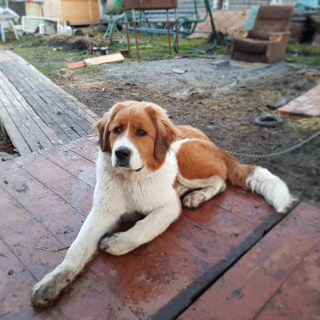 kuzya_66 в LOOKY. . Сегодня малышу пол г...