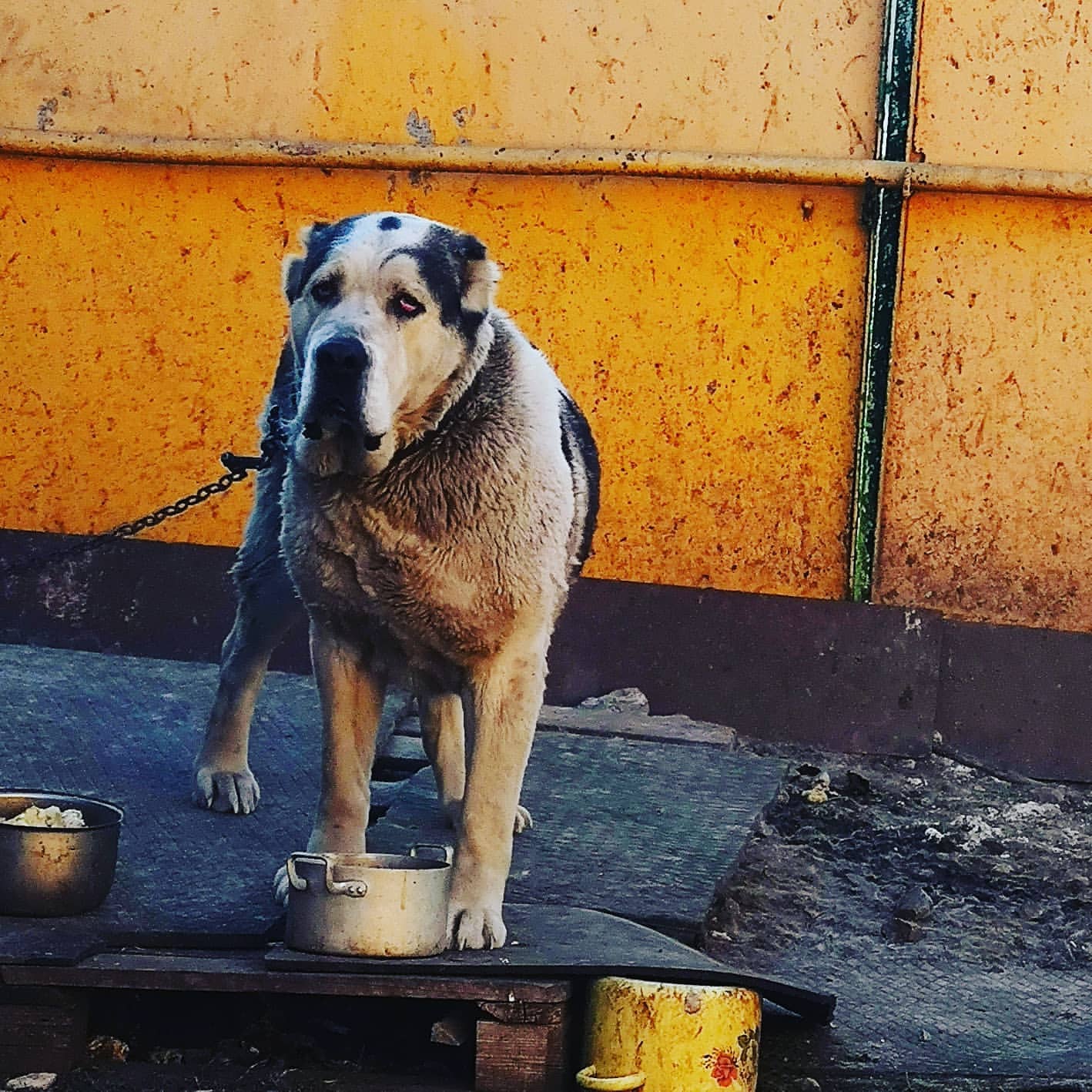 mammi__esmi в LOOKY — Лeрочка🐶