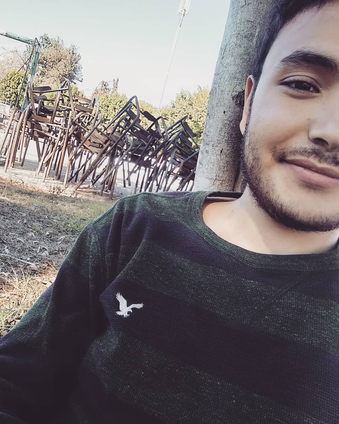 elfallahimohammed in LOOKY. #eagle,#americaneagle. #eagle #americaneagl...