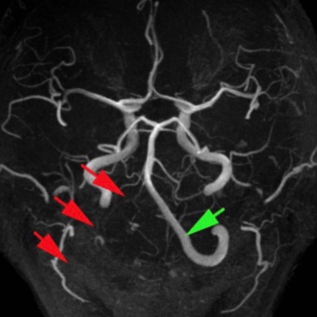 russianradiology в LOOKY — фото 4