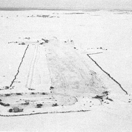 prosolcy в LOOKY — фото 3