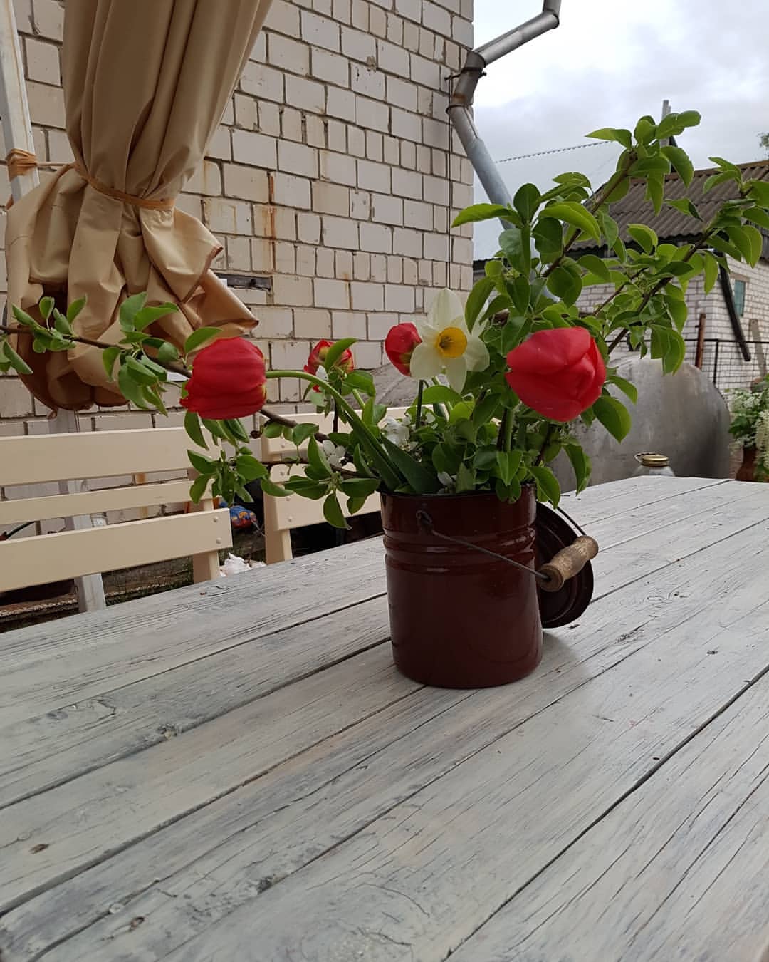 elenabelleza in LOOKY. . Весна -красна🍀☘🌿⚘