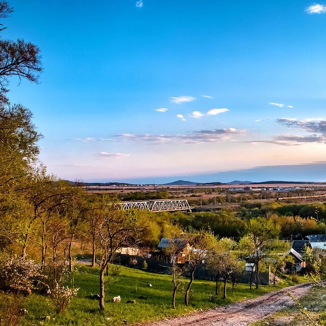 zhiltsov.sergei в LOOKY. . Немного свободы в не...