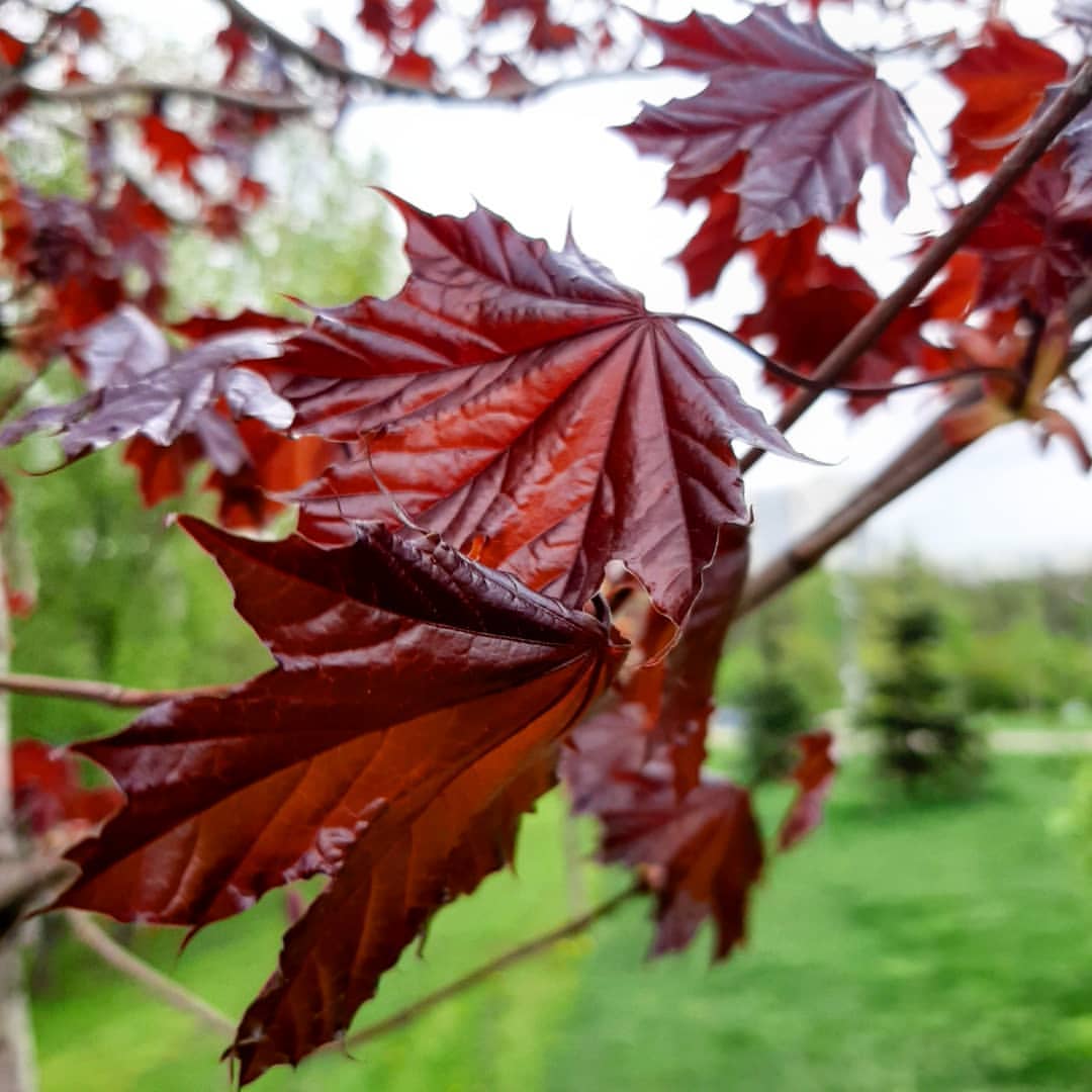 liovaizbirule в LOOKY — фото 5