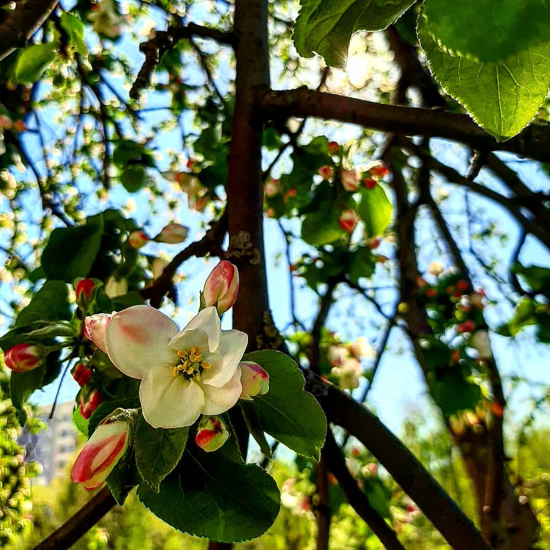 elena_artemova69 в LOOKY — фото 3