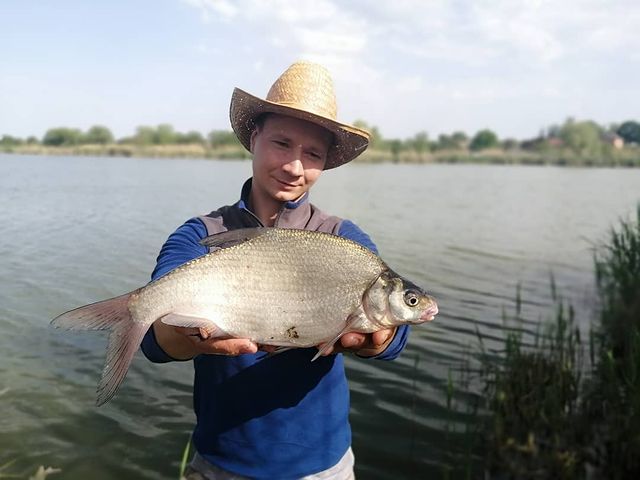 yug_fishing в LOOKY. #рыбалка,#лещ,#фидер,#природа,#река,#рыбалка2020. Выехал на дикий водо...