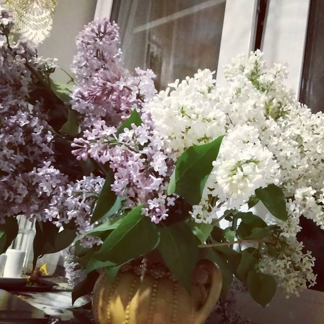 verochka.teplykh в LOOKY. . Теперь дома пахнет в...