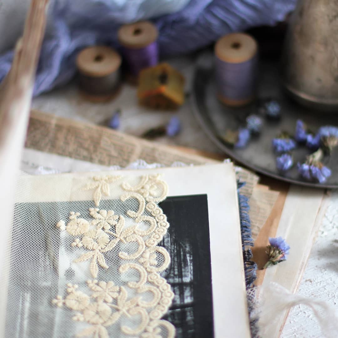 academia30 в LOOKY — фото 7