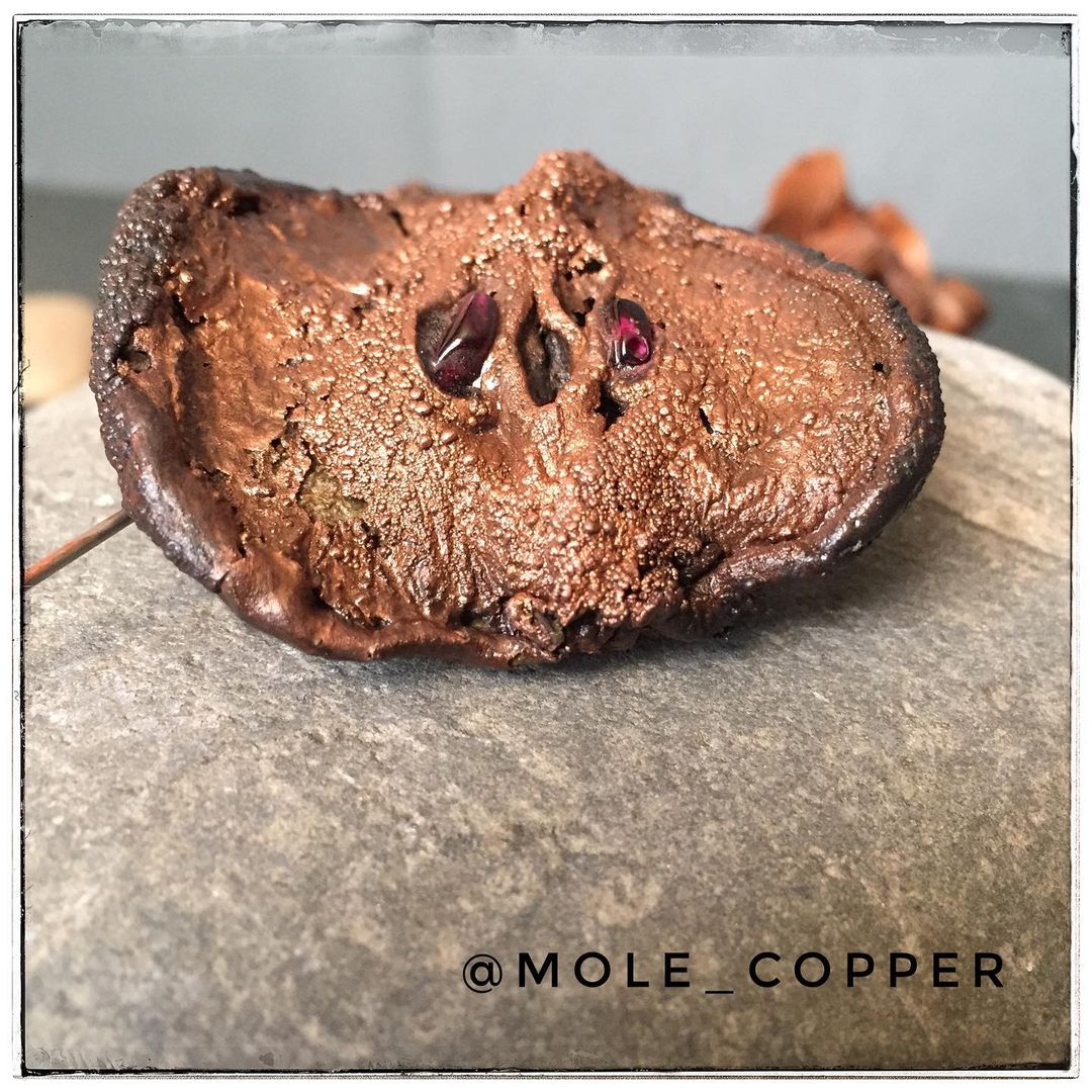 mole_copper в LOOKY — фото 4