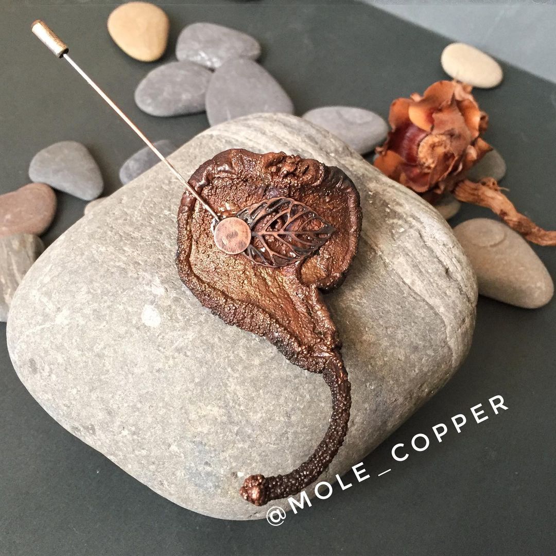 mole_copper в LOOKY — фото 5
