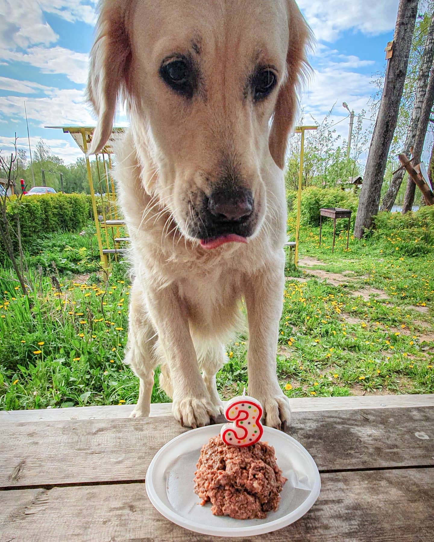 olya_and_maya в LOOKY — фото 2