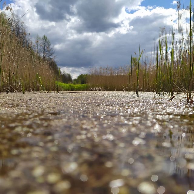 dimkaletow в LOOKY. . null