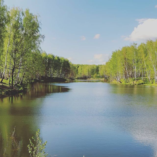 dobrowolskj в LOOKY. . null