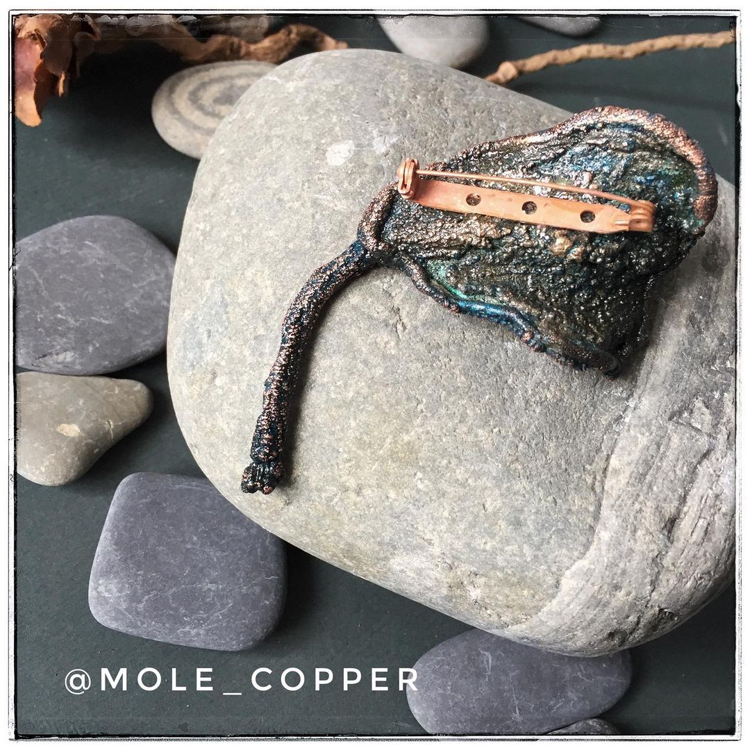 mole_copper в LOOKY — фото 3