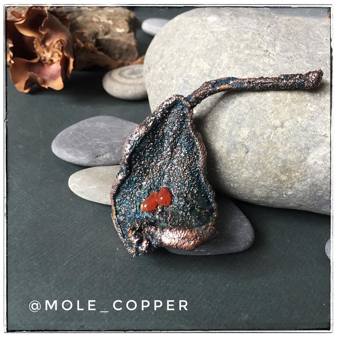 mole_copper в LOOKY — фото 1