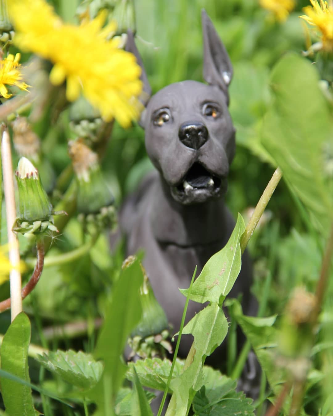 tatia_tatusia в LOOKY — фото 2