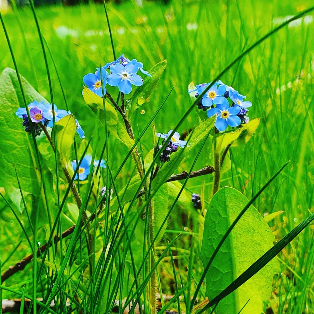 nadya141985 в LOOKY — фото 3