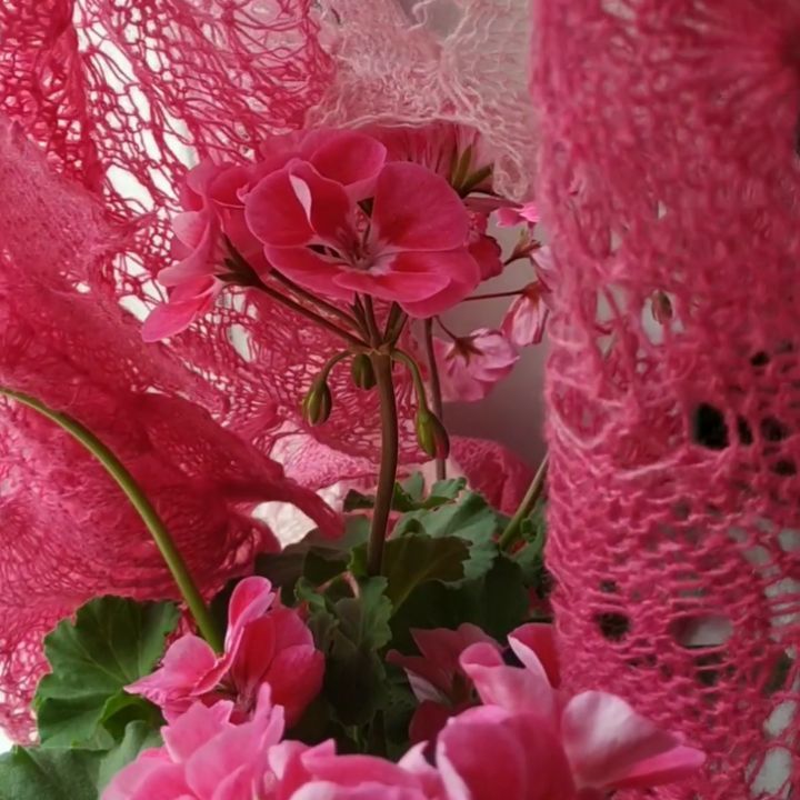 kateyarnseller в LOOKY. #пригодится,#кружевоспицами,#палантин,#летнийпалантин,#погодавпитере,#подарокдевушке,#неболеем,#подарокдлямамы,#маманакарантине,#подарокдлялюбимой,#подарокжене,#подароксестре,#подарокмаме. Мы с вами лишились в...