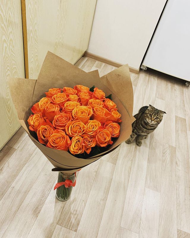 ovchinnikova_96 в LOOKY. . С днём рождения меня...