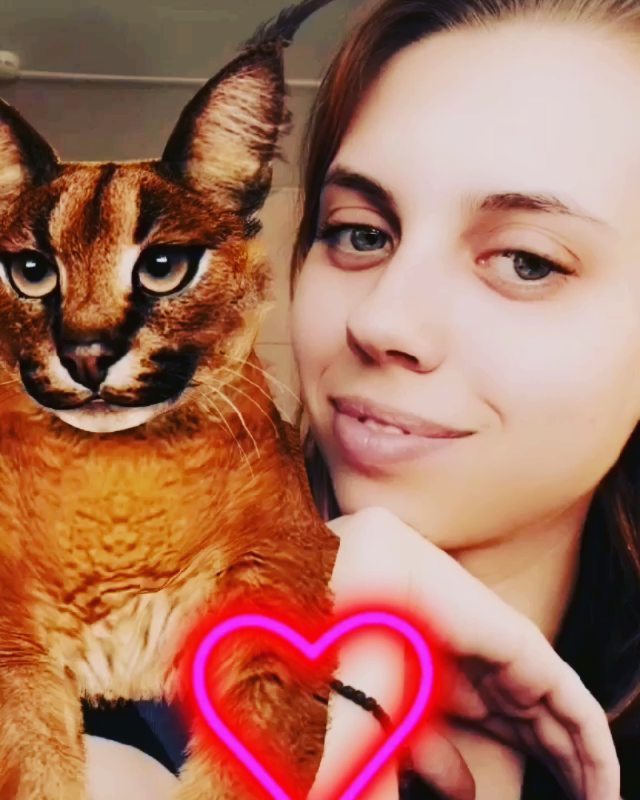 anika126rus в LOOKY. . 🐈🐈🐈🐆