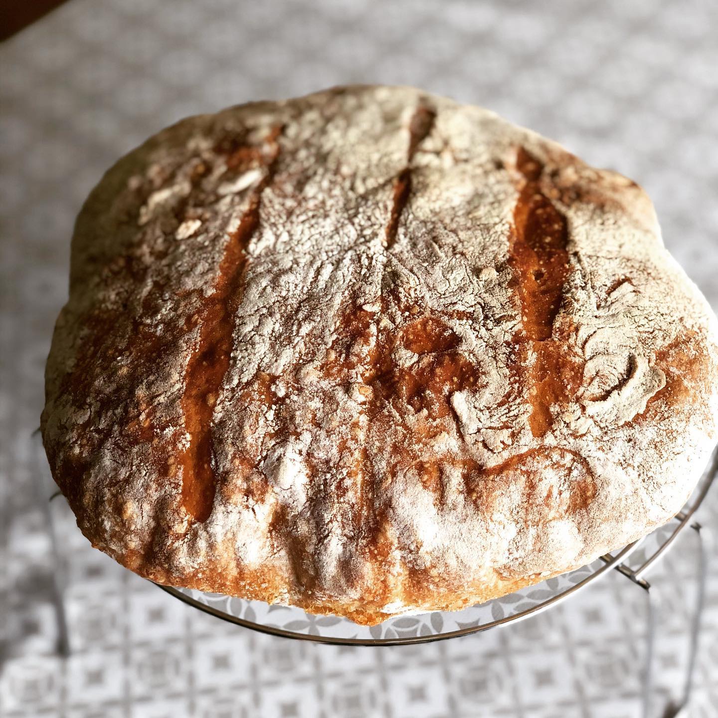 oven.81 в LOOKY. #коронакарантинщиканежмет,#коронакарантинщиканежмет2,#свойхлеб,#оченьвкусно,#смолочком. Хлебушек 🥖 по рецеп...