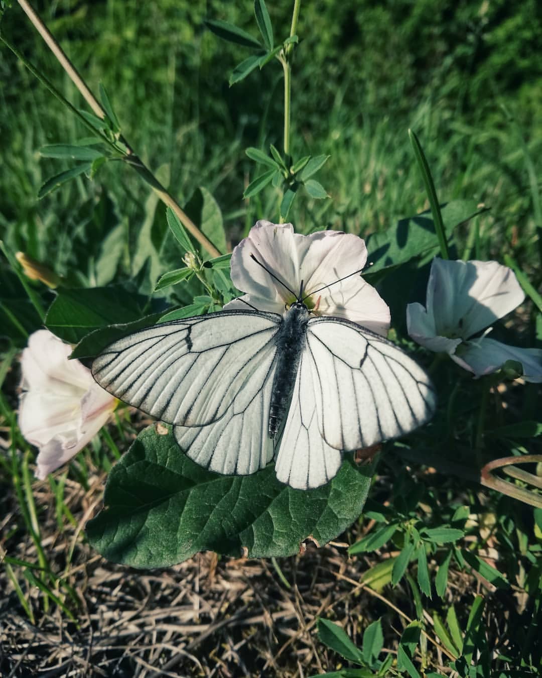 142.ll в LOOKY — фото 2