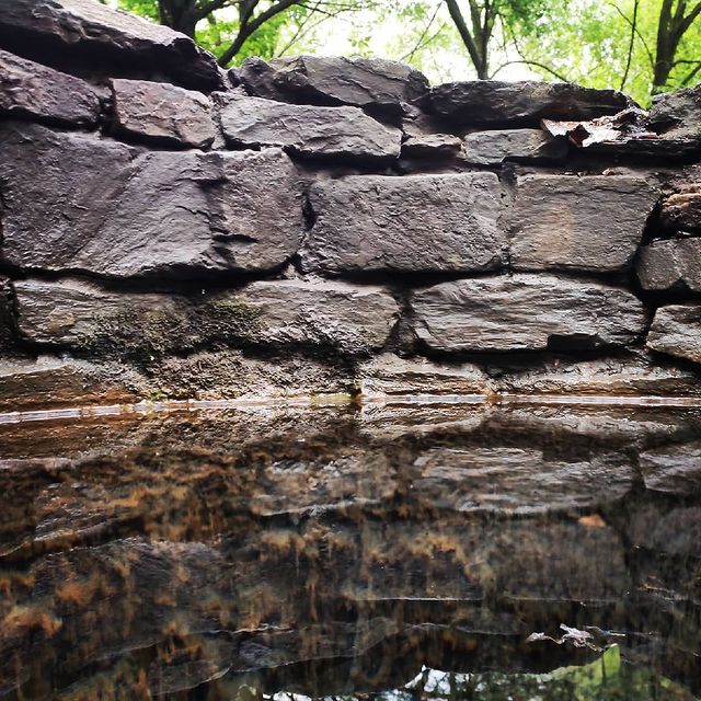 animus_vet в LOOKY. #колодец. Просто маленький и м...