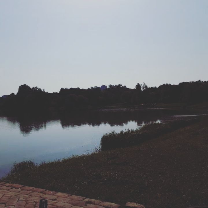 iqrabota в LOOKY. . Утро