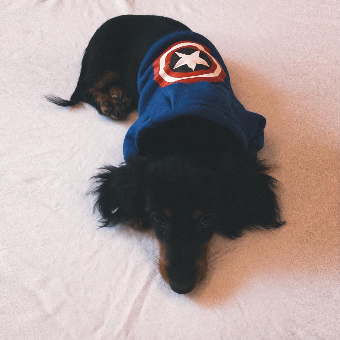 katya.marmelad в LOOKY. . 🐶