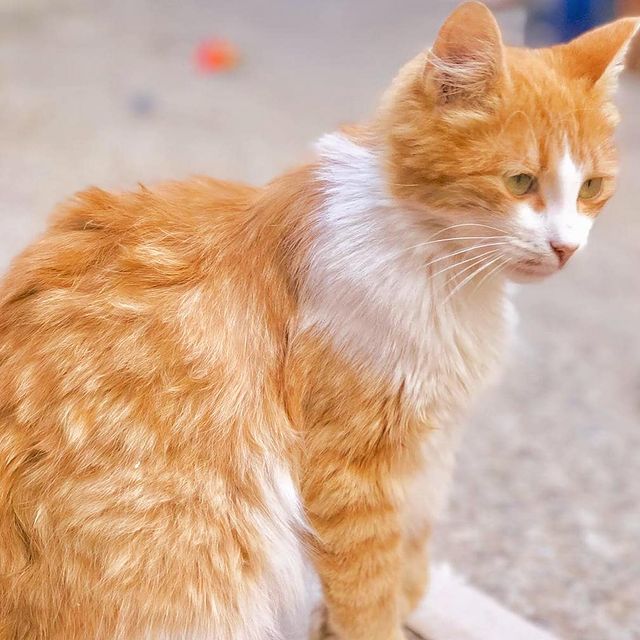 HamZa🌸ChaLkha💦 в LOOKY. . 😻📸By me📷😻