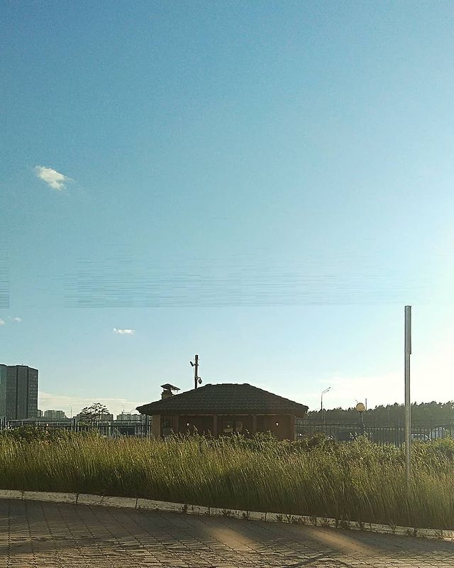 phoenix_sd1 в LOOKY. . null