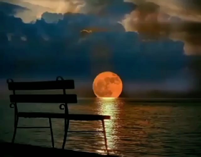 miladora_mari в LOOKY. . Хорошо, когда случае...
