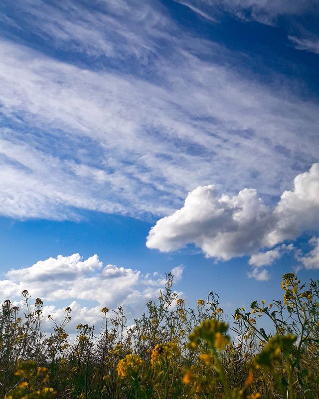 nasyadutova в LOOKY. #mountains,#taiga,#river,#nature,#air,#sky,#summer,#landscape,#water,#sunnyday,#clouds,#june,#mana,#travel,#лес,#горы,#тайга,#река,#природа,#воздух,#небо,#лето,#пейзаж,#вода,#солнце,#облака,#июнь,#Мана,#путешествие. .
.
.
.
.
.
.
#fores...