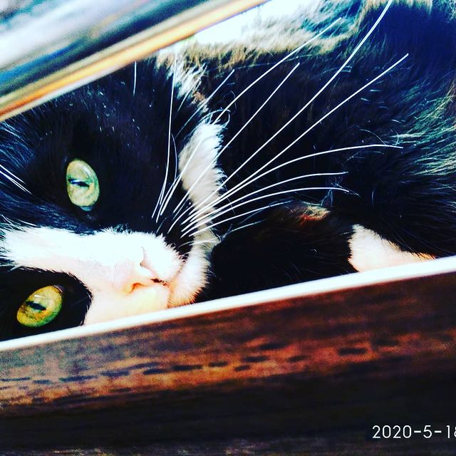 dashenka.2512 в LOOKY. . Моя ❤️